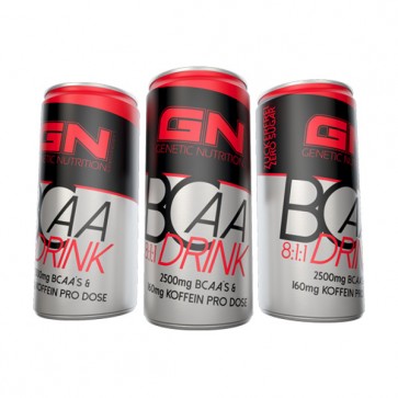 GN BCAA 8:1:1 - 24x 250ml Dosen