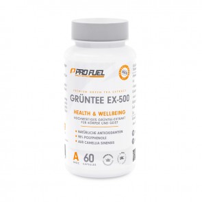 ProFuel Grüntee EX-500 60 Kapsel